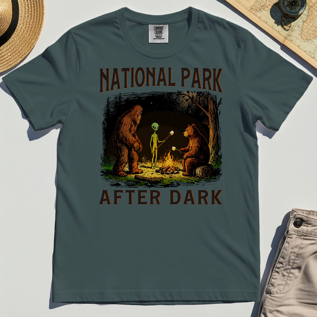 Funny National Park After Dark Comfort Color T-Shirt 4
