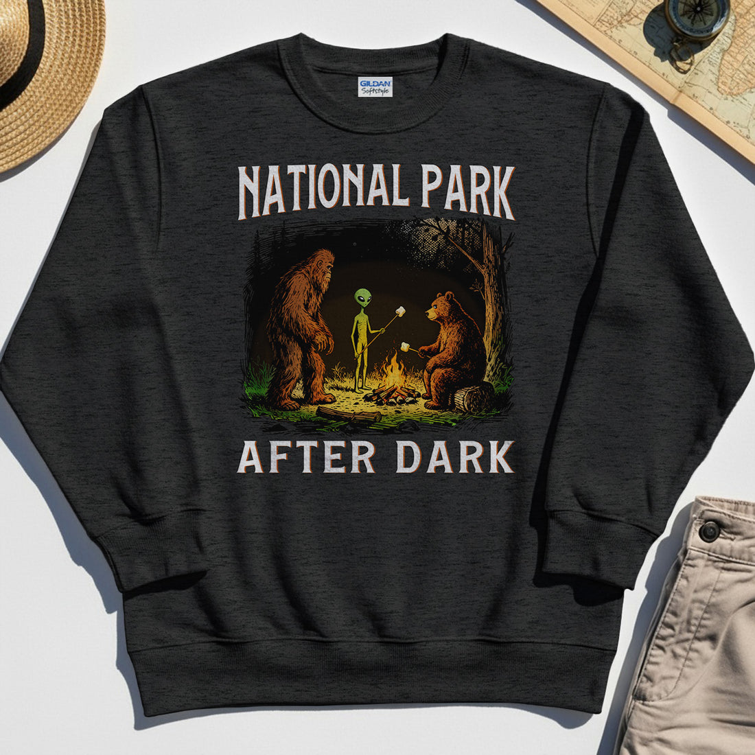 Funny National Park After Dark Sweatshirt 1
