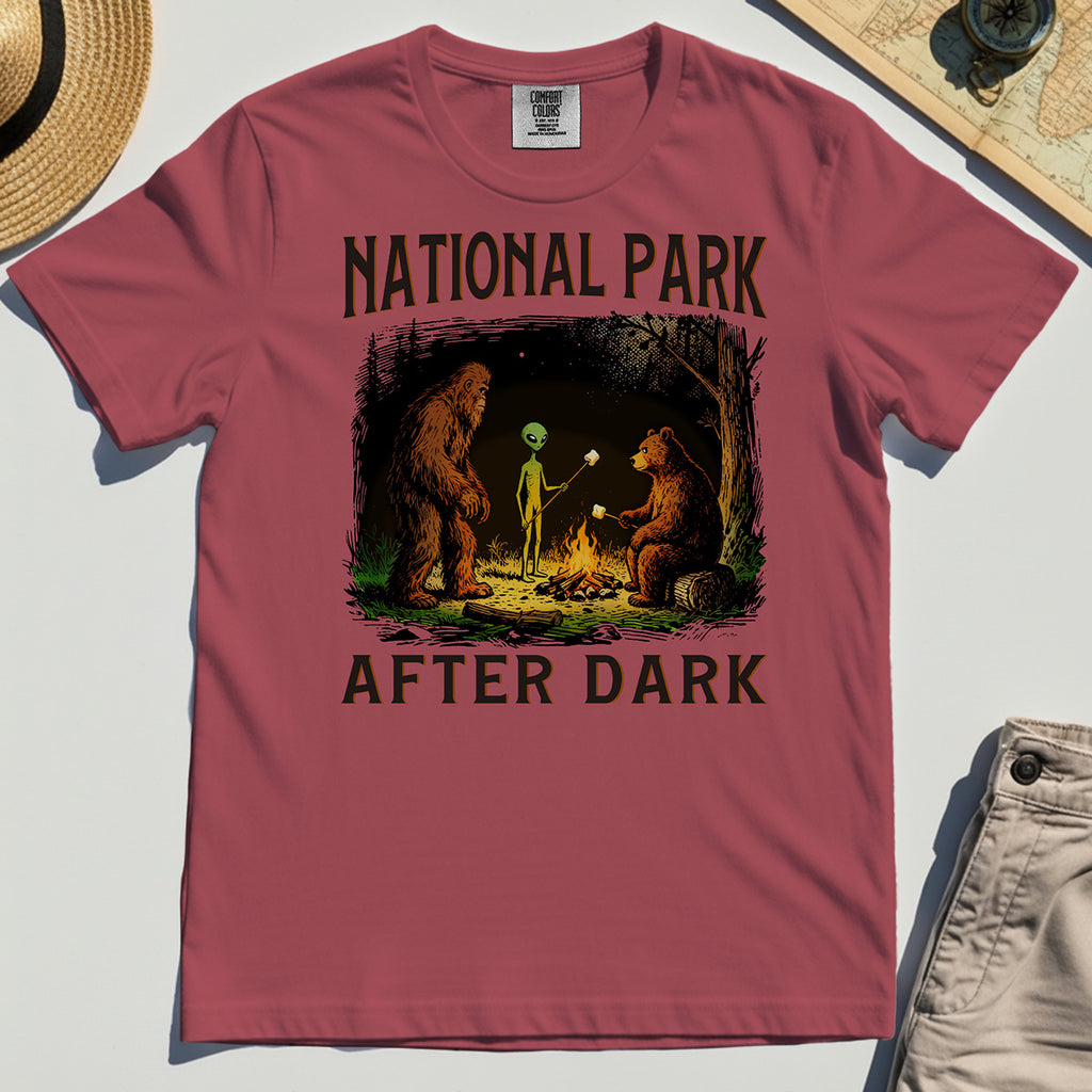 Funny National Park After Dark Comfort Color T-Shirt 5