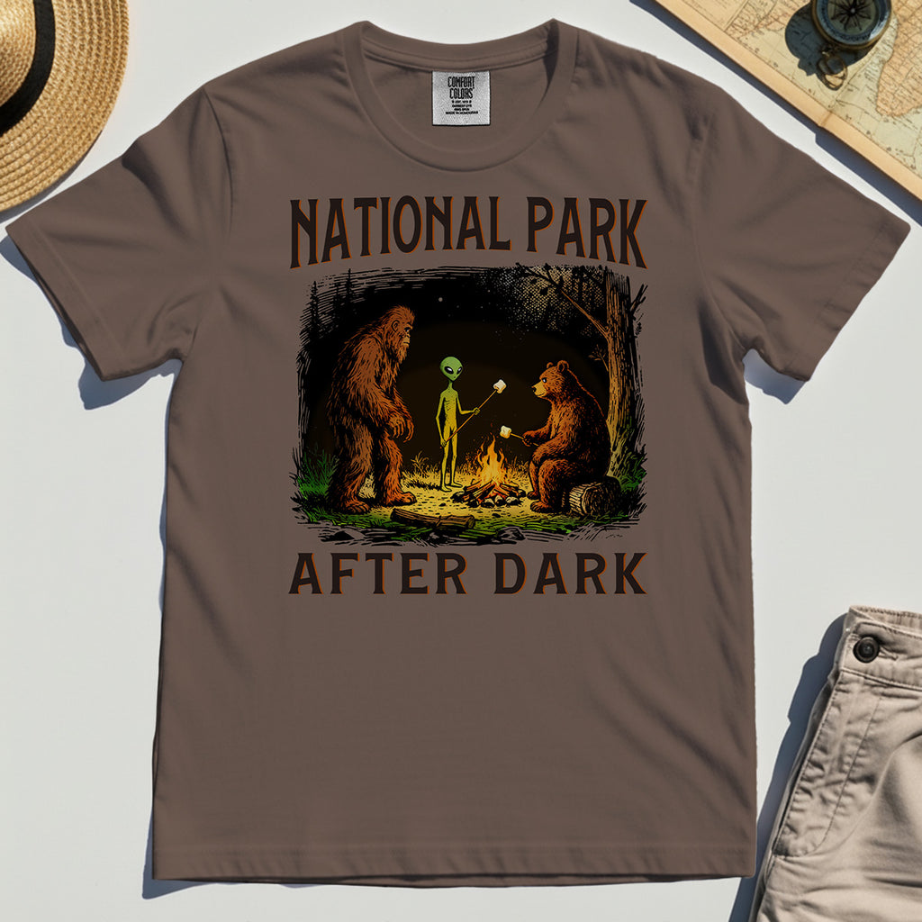 Funny National Park After Dark Comfort Color T-Shirt 6
