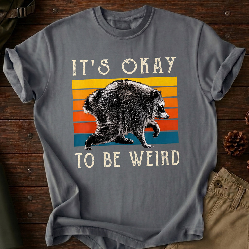It's Okay To Be Weird T-Shirt
