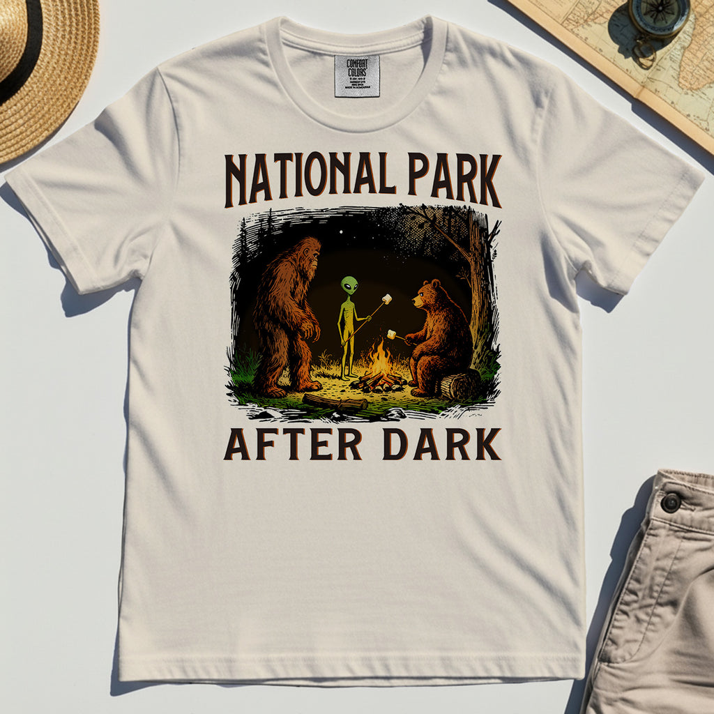 Funny National Park After Dark Comfort Color T-Shirt 2
