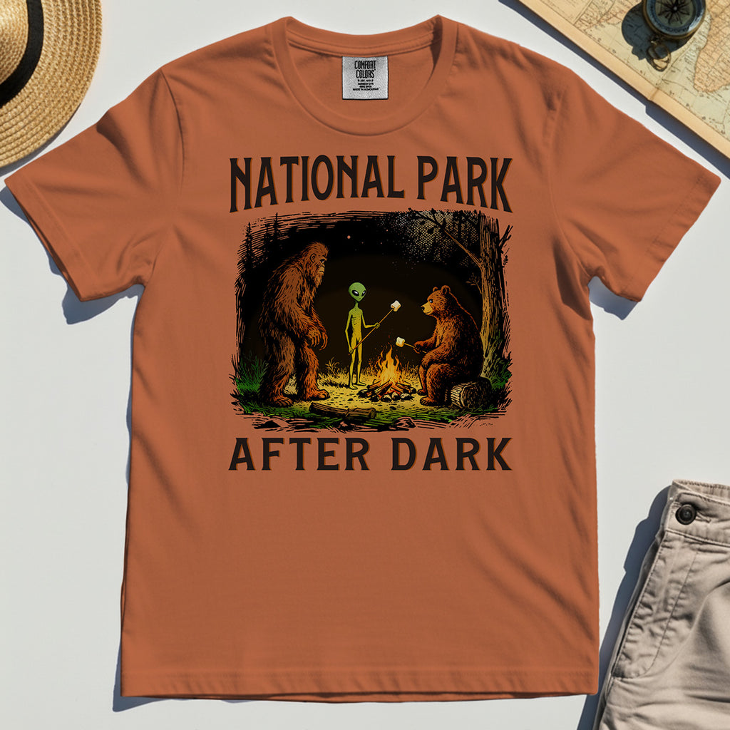 Funny National Park After Dark Comfort Color T-Shirt 8